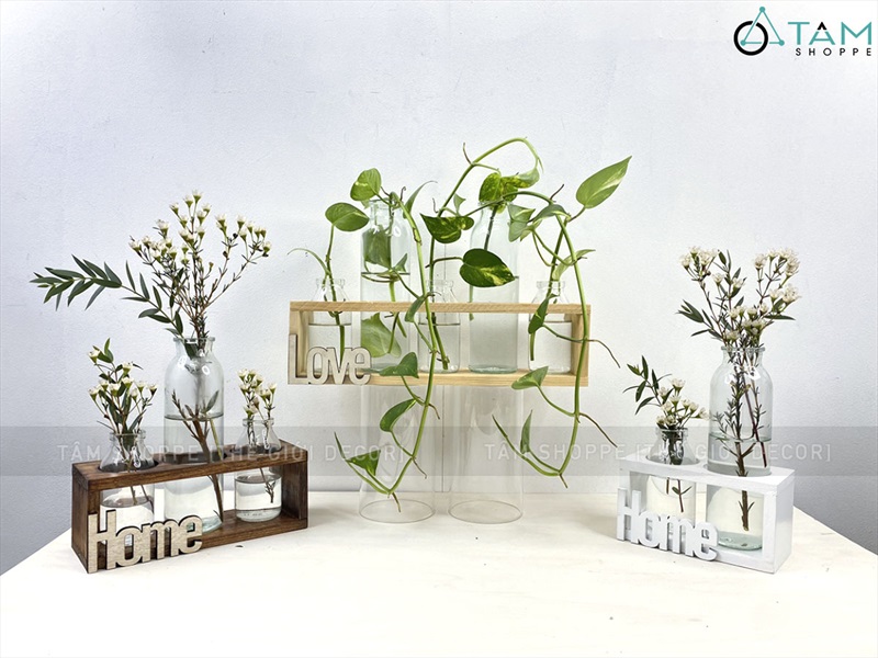 Bộ khung gỗ chữ nhật kèm lọ thuỷ tinh cắm hoa thuỷ canh [3 màu - 3 size] BINHLOHOA-05